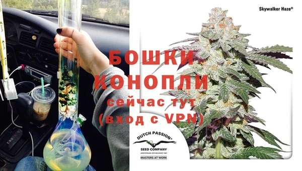 молекула духа Нефтекумск