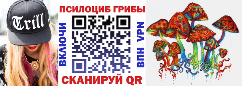 как найти закладки  Курган  Псилоцибиновые грибы ЛСД 