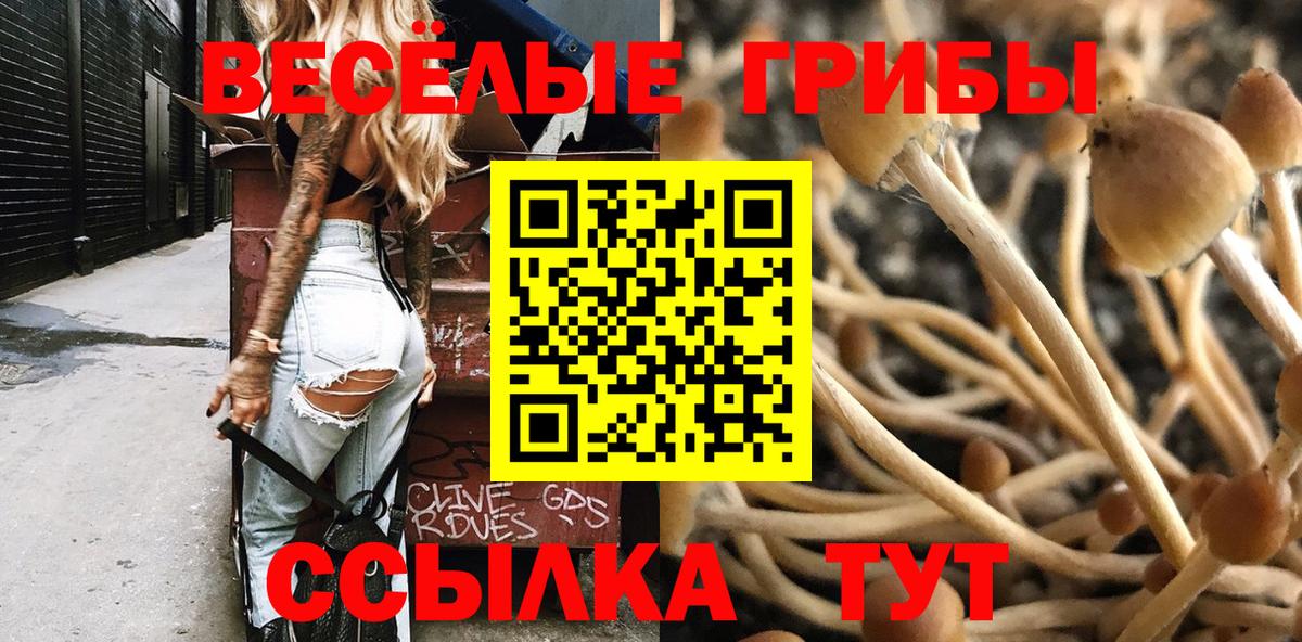 где можно купить   Вход с VPN  Курган  Псилоцибиновые грибы мухоморы 